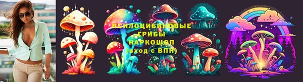 PSILOCYBIN Абинск