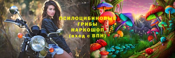 PSILOCYBIN Абаза