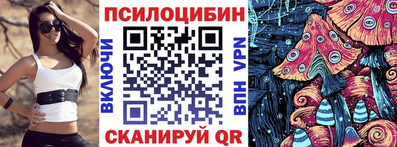 Галлюциногенные грибы Psilocybine cubensis  Красково 